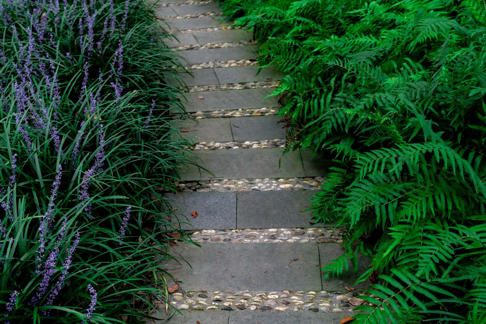 Stone and paver walkway lined with greenery